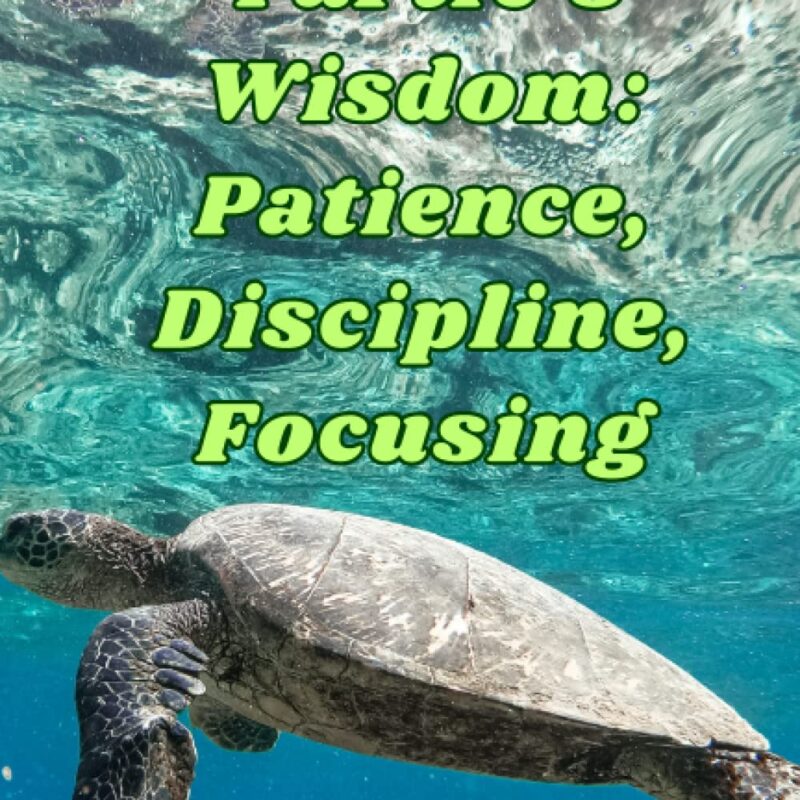 Embrace The Turtle's Wisdom