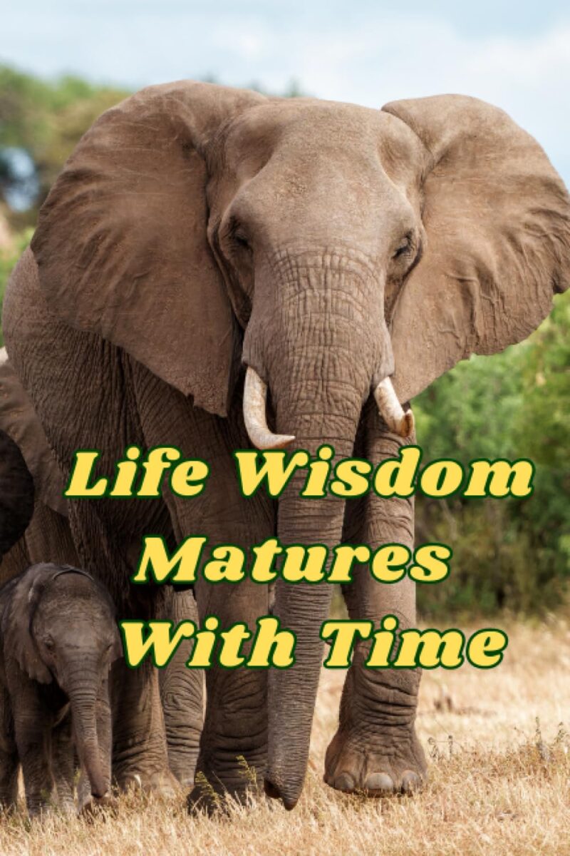 Life Wisdom Matures With Time