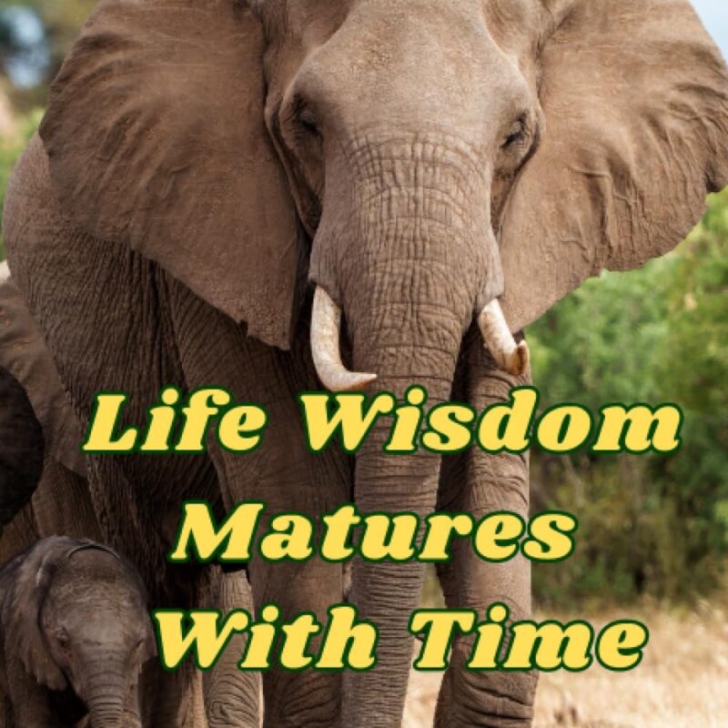 Life Wisdom Matures With Time