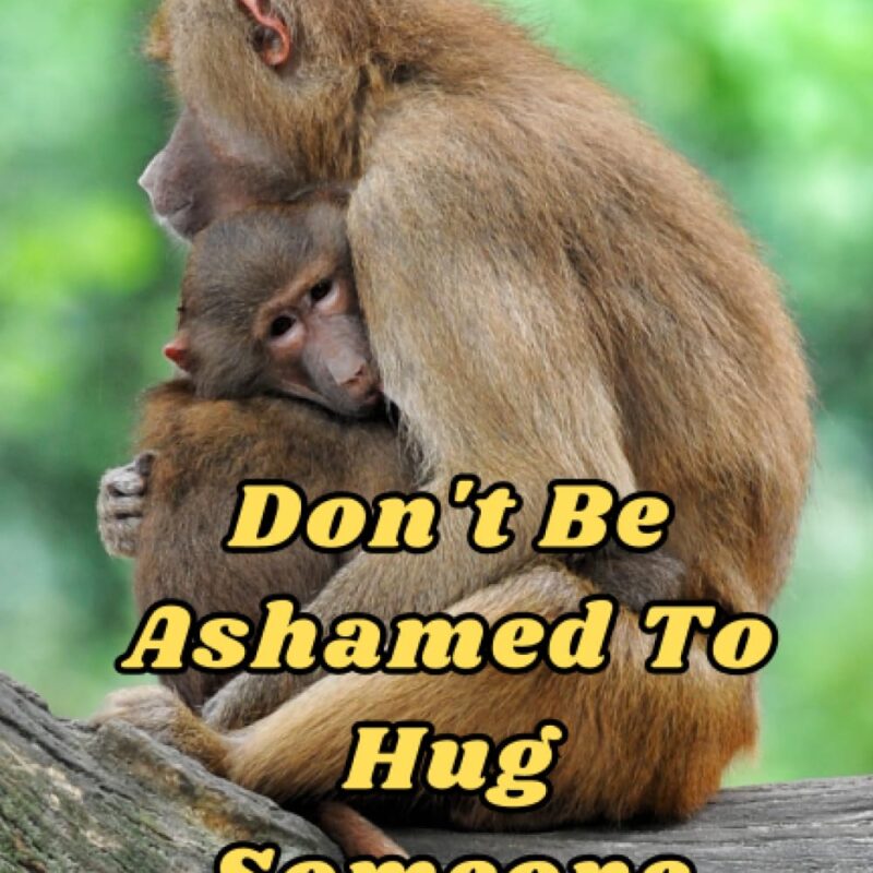 Don't Be Ashamed To Hug Someone You Love