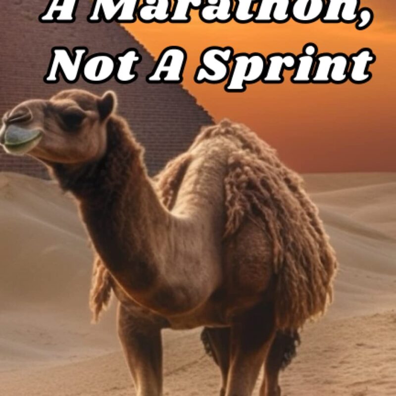 Life Is A Marathon, Not A Sprint