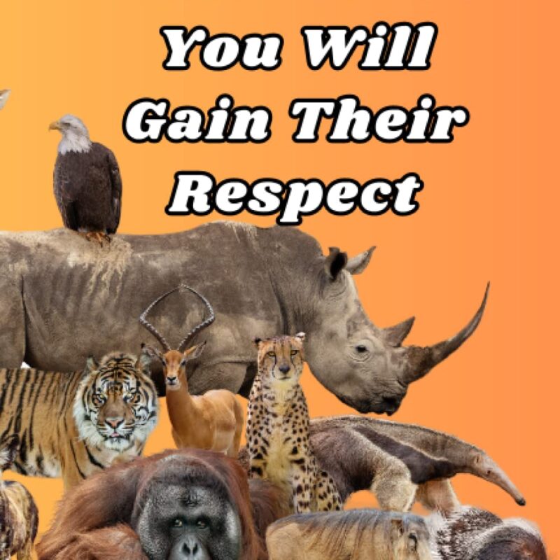 Respect Others And You Will Gain Their Respect