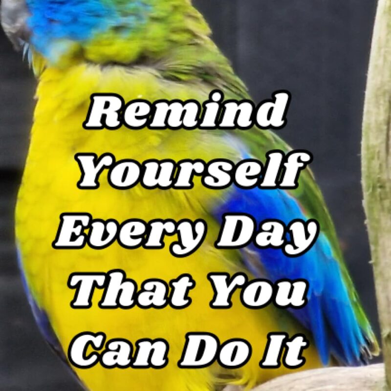 Remind Yourself Every Day That You Can Do It
