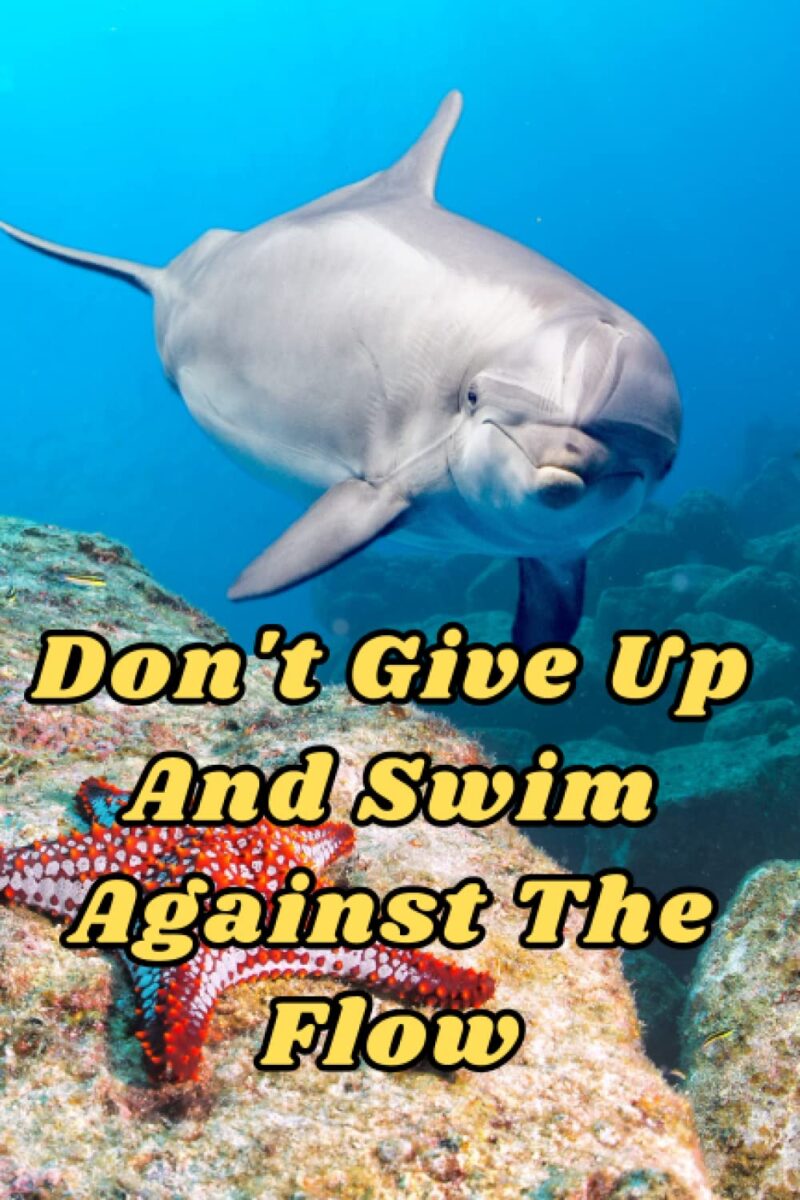 Don't Give Up And Swim Against The Flow