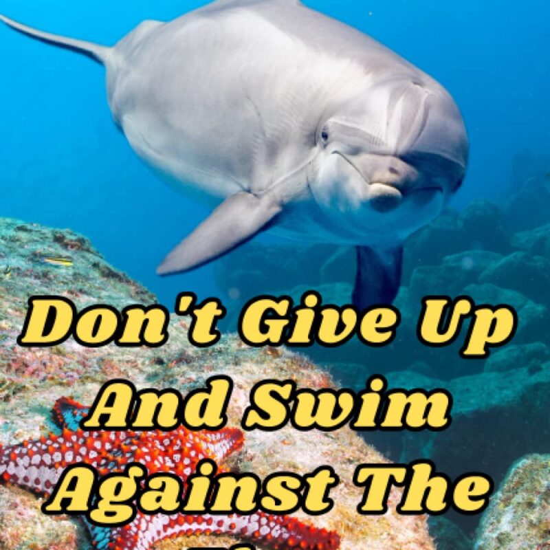 Don't Give Up And Swim Against The Flow