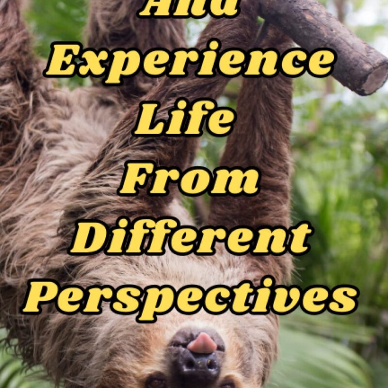 See And Experience Life From Different Perspectives