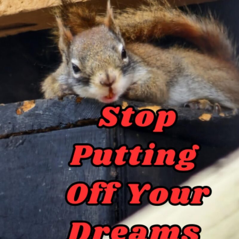 Stop Putting Off Your Dreams For Later