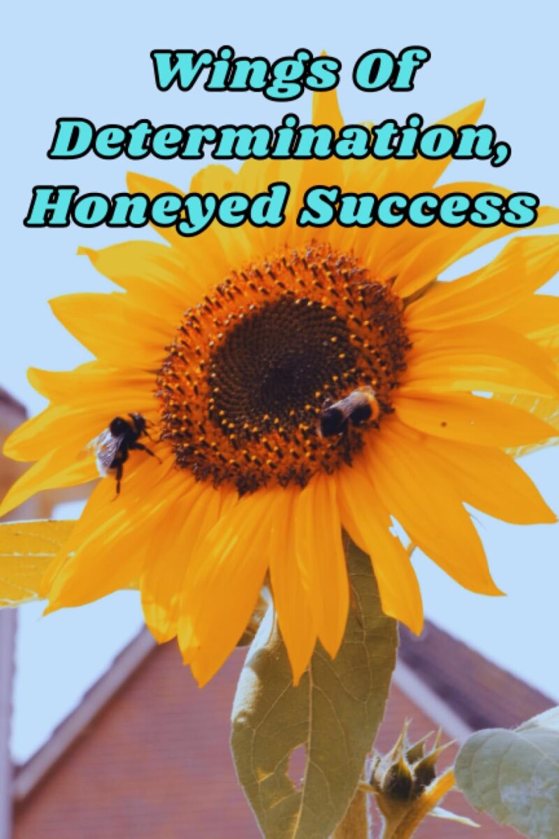 Wings Of Determination, Honeyed Success