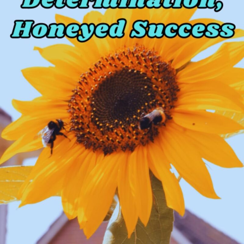 Wings Of Determination, Honeyed Success