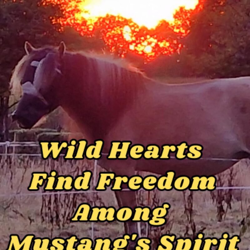Wild Hearts Find Freedom Among Mustang's Spirit