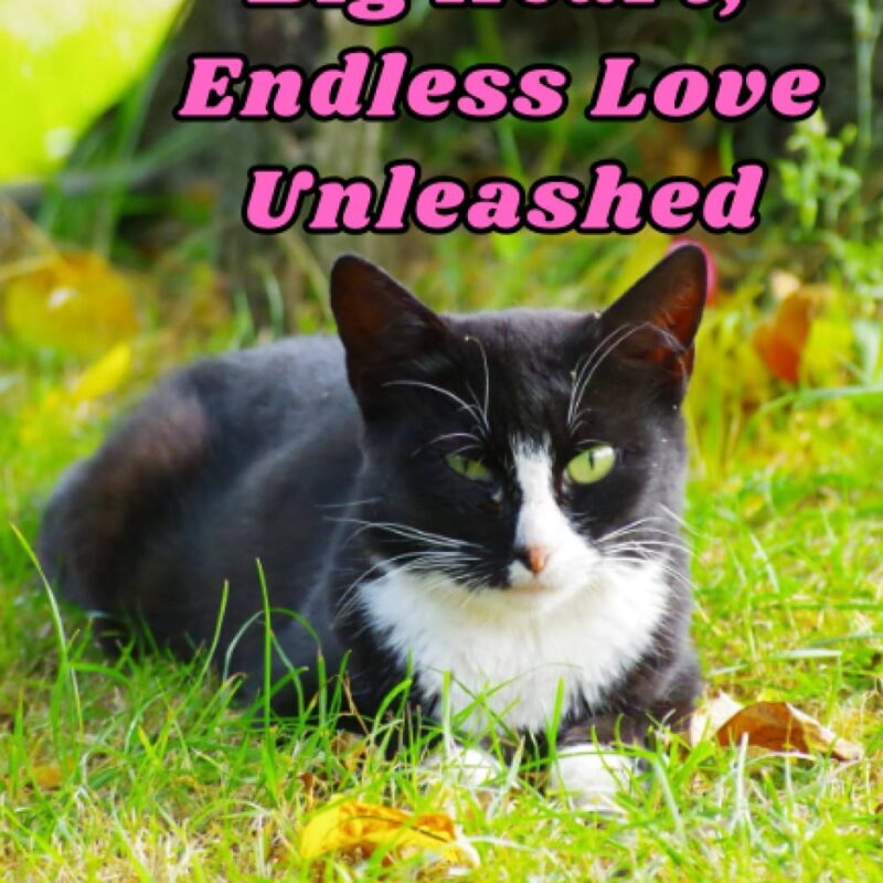 Small Paws, Big Heart, Endless Love Unleashed