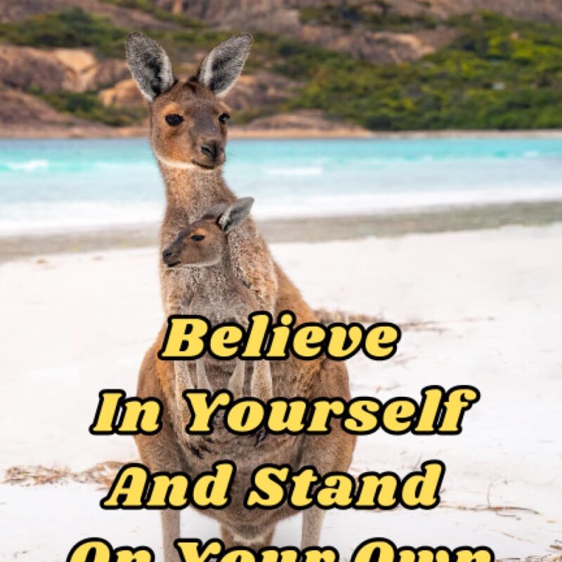 Believe In Yourself And Stand On Your Own Feet
