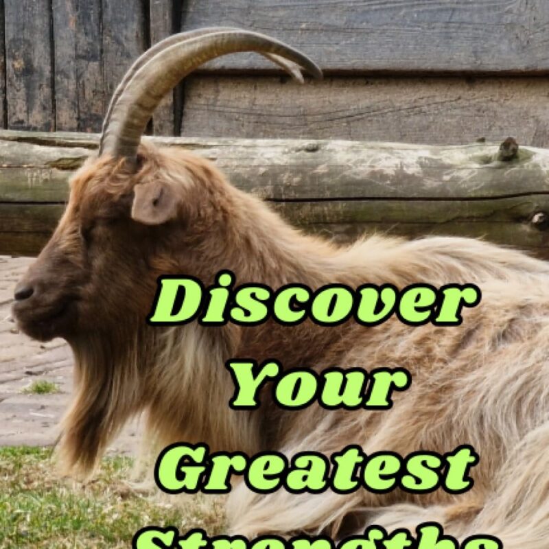Discover Your Greatest Strengths