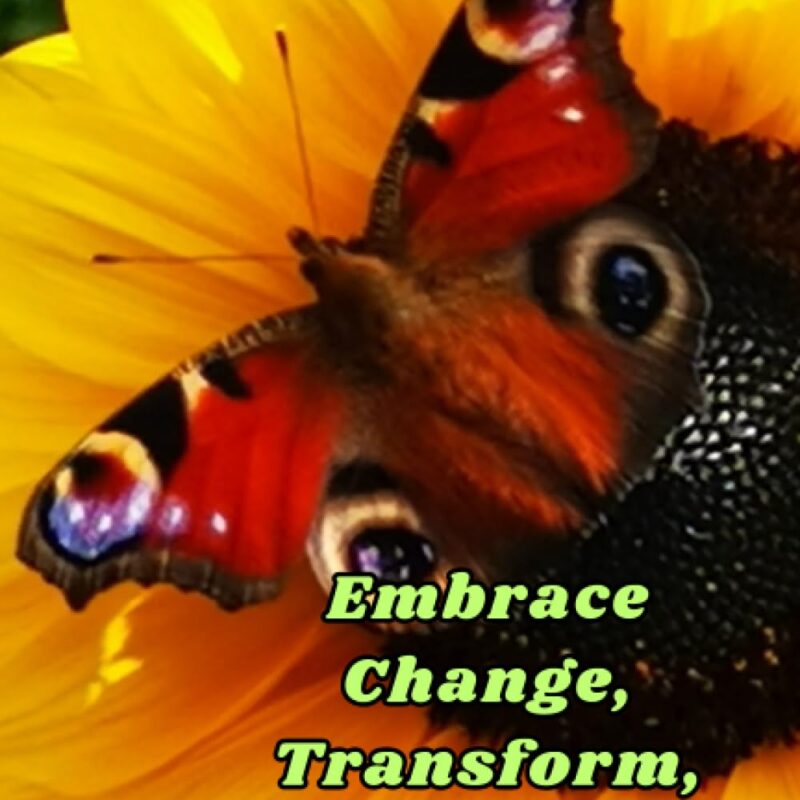 Embrace Change, Transform, And Let Your Wings Soar