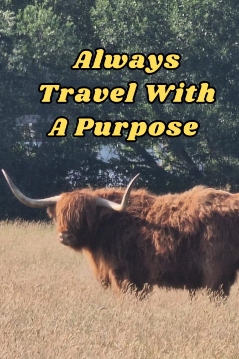 Always Travel With A Purpose