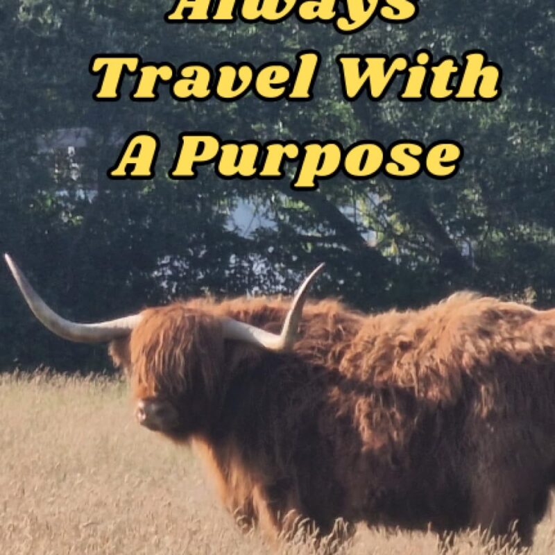 Always Travel With A Purpose