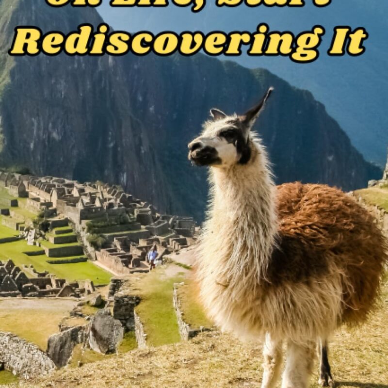 Don't Spit On Life, Start Rediscovering It