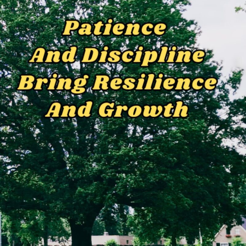 Patience And Discipline Bring Resilience And Growth