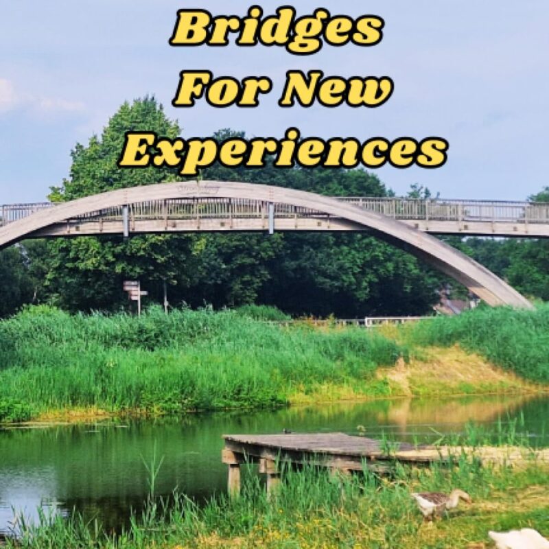 Build Interpersonal Bridges For New Experiences