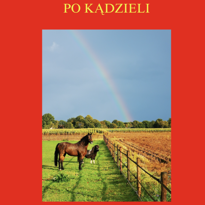 Zeszyt Genealogiczny po Kądzieli - T. II